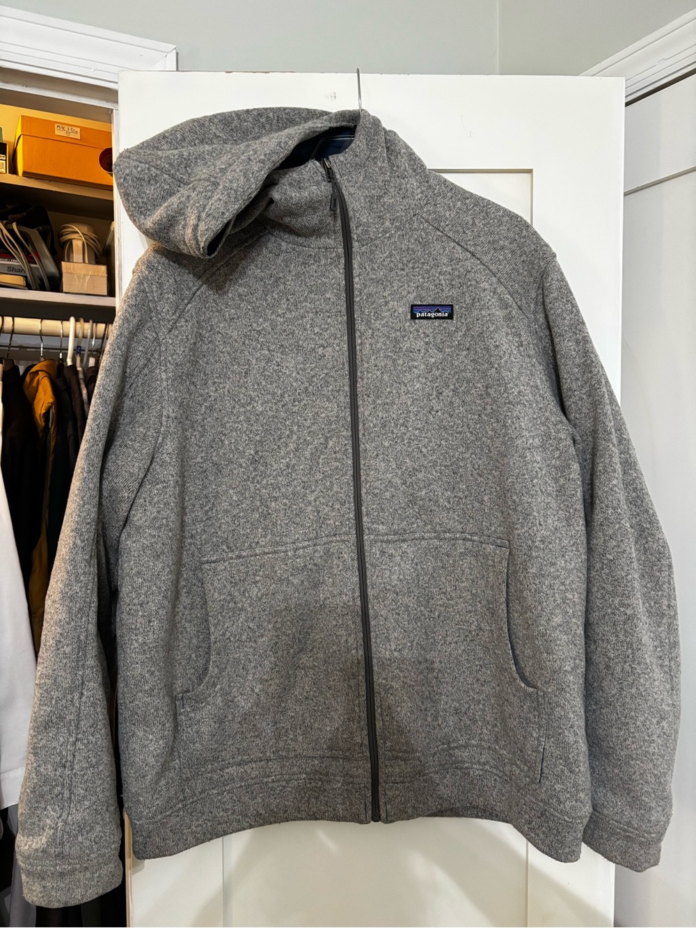 Patagonia Men's Gray Heather Full-Zip Hoodie Jacket